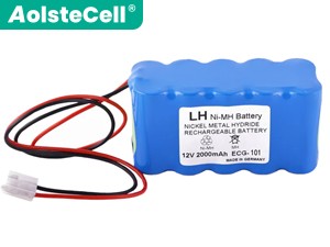 Battery for Biocare ECG-300