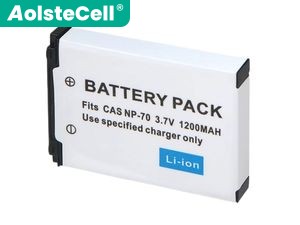 Battery for Casio Exilim Zoom EX-Z250PK