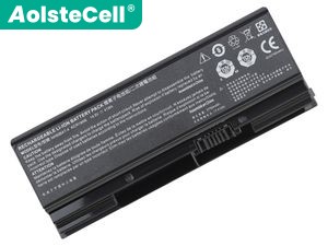 Battery for Hasee Sager NP6875