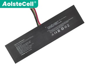 Battery for iru R3