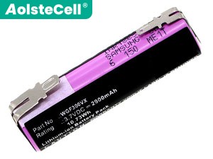 Battery for Karcher WV2