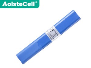 Battery for Mettler Toledo Cranemate