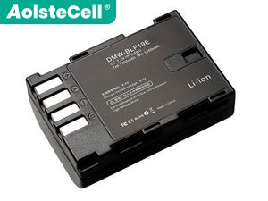 Battery for Panasonic DC-GH5S