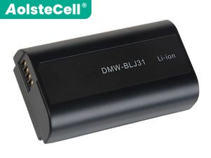 Battery for Panasonic DC-S1