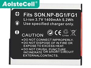 Battery for Sony DSC-W110