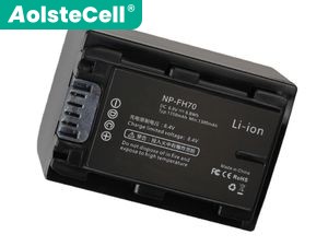 Battery for Sony DCR-SR300E